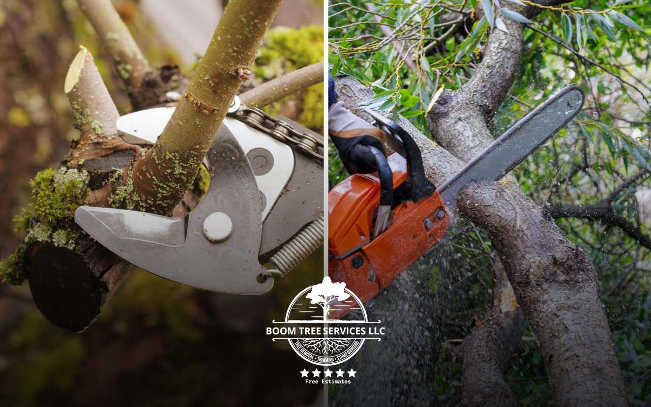 Trimming, pruning vital for outdoor trees. Boom Tree Service: 24/7 support, 6-year experience, insured.