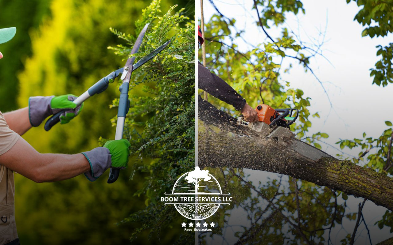 Critical Differences Between Tree Trimming and Pruning: