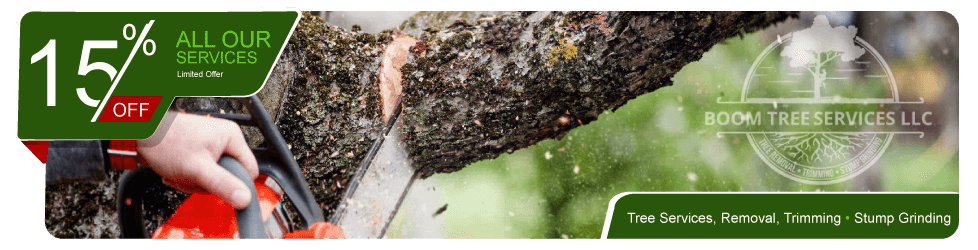 Tree Services in Huntsville, AL: Transform Your Trees