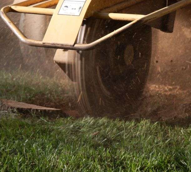 Elevate Your Yard: Experience Stump Grinding in Huntsville, AL