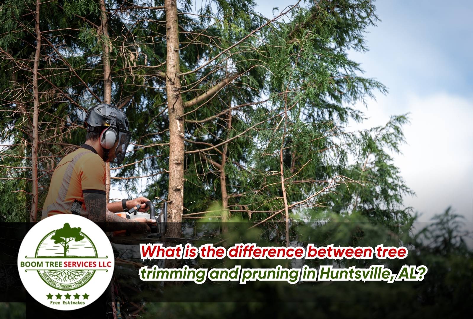 Professional tree trimming in Huntsville, AL for a residential front yard