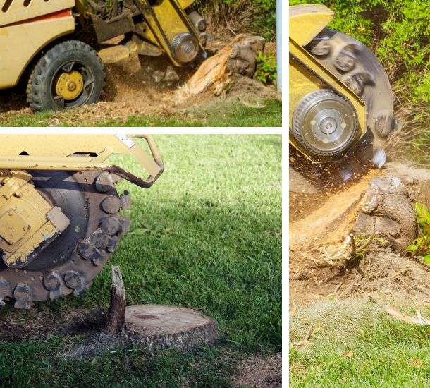 Revamp Your Landscape: Stump Grinding in Huntsville, AL