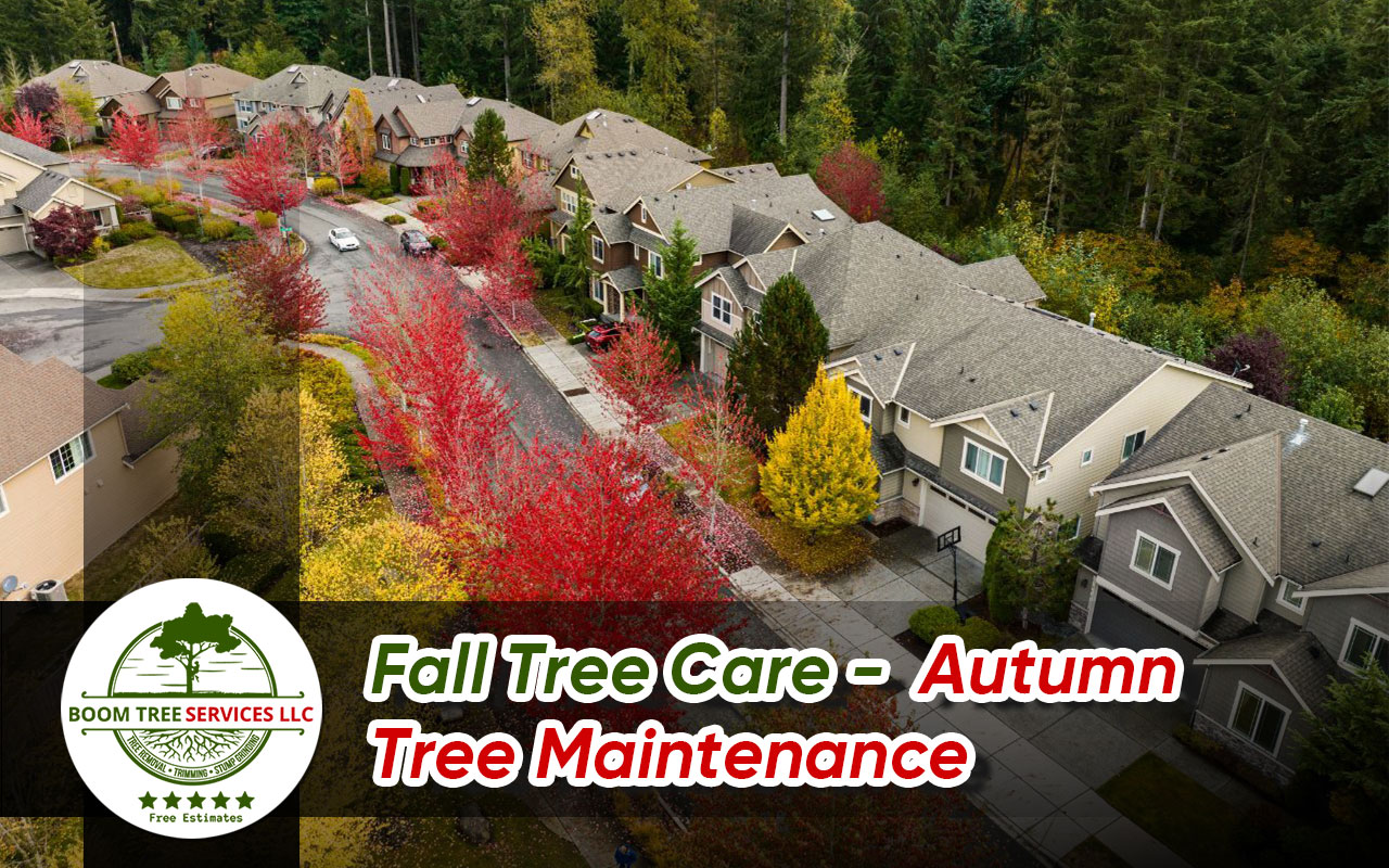 Fall Tree Care Essentials