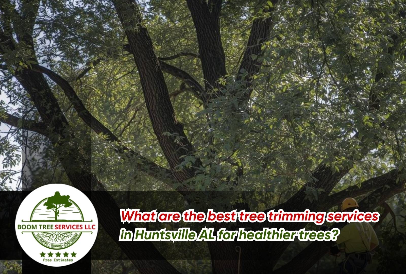 Signs your tree needs trimming in Huntsville AL yard