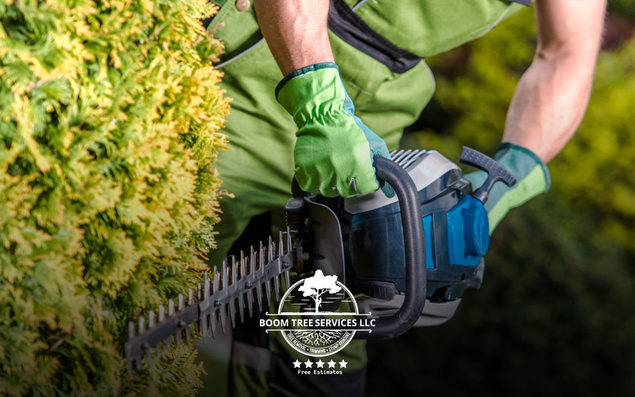 Essential Safety Gear for Tree Trimming