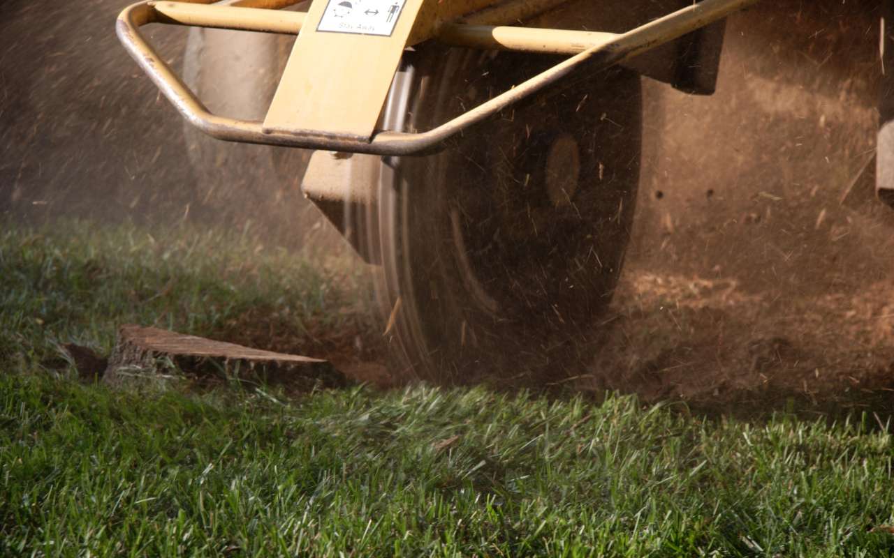 Image of a professional arborist grinding a large tree stump with a powerful machine.