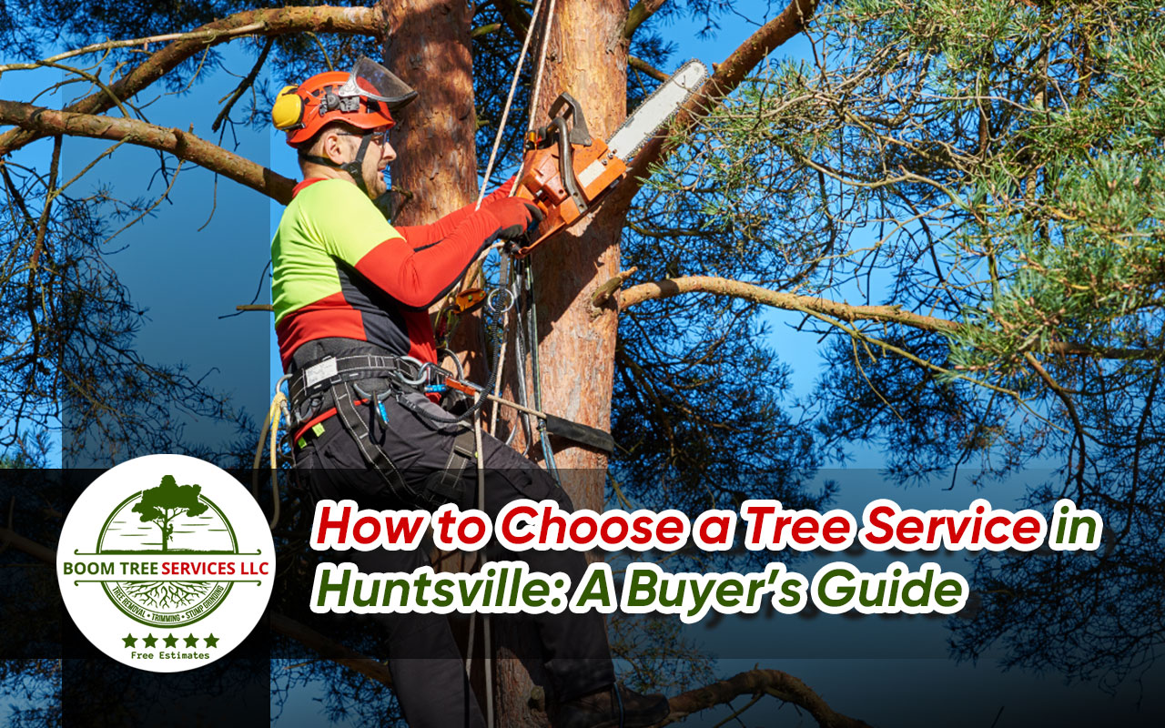 Guide on how to choose a tree service