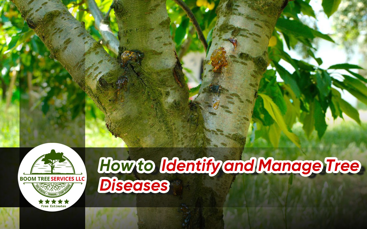 Identifying tree diseases early