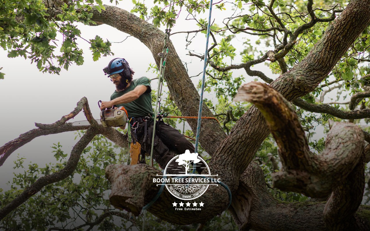 Professional tree removal services in Huntsville.