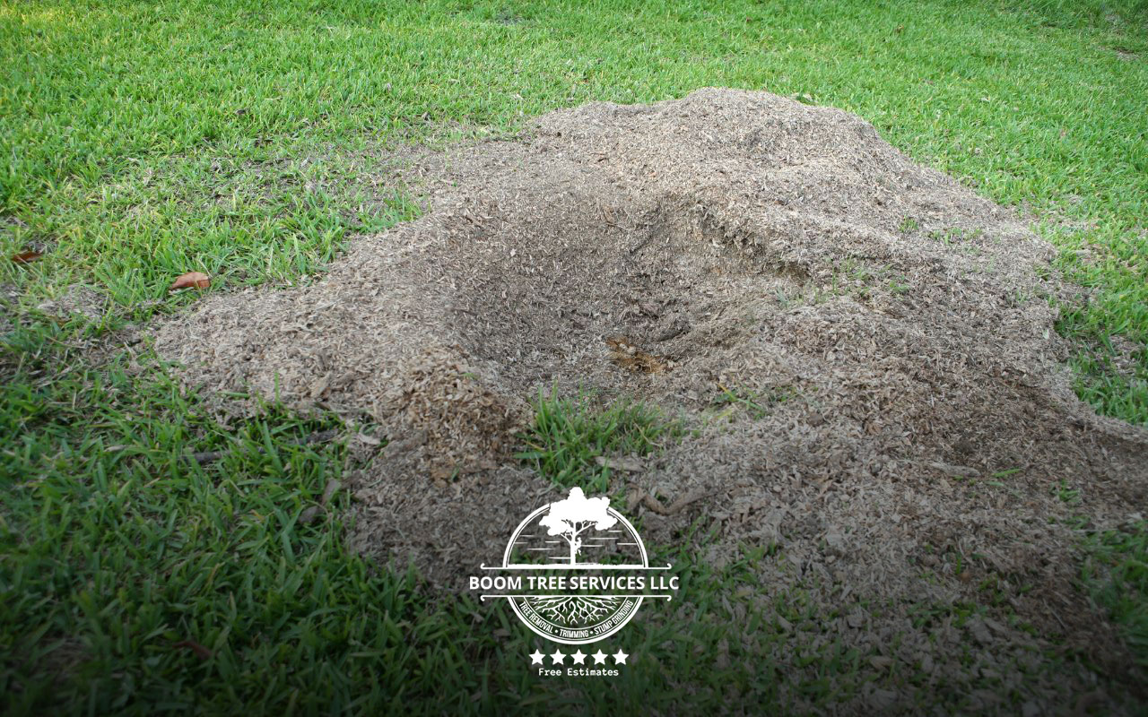 A smooth and clean landscape after professional stump grinding, enhancing yard appearance and safety.