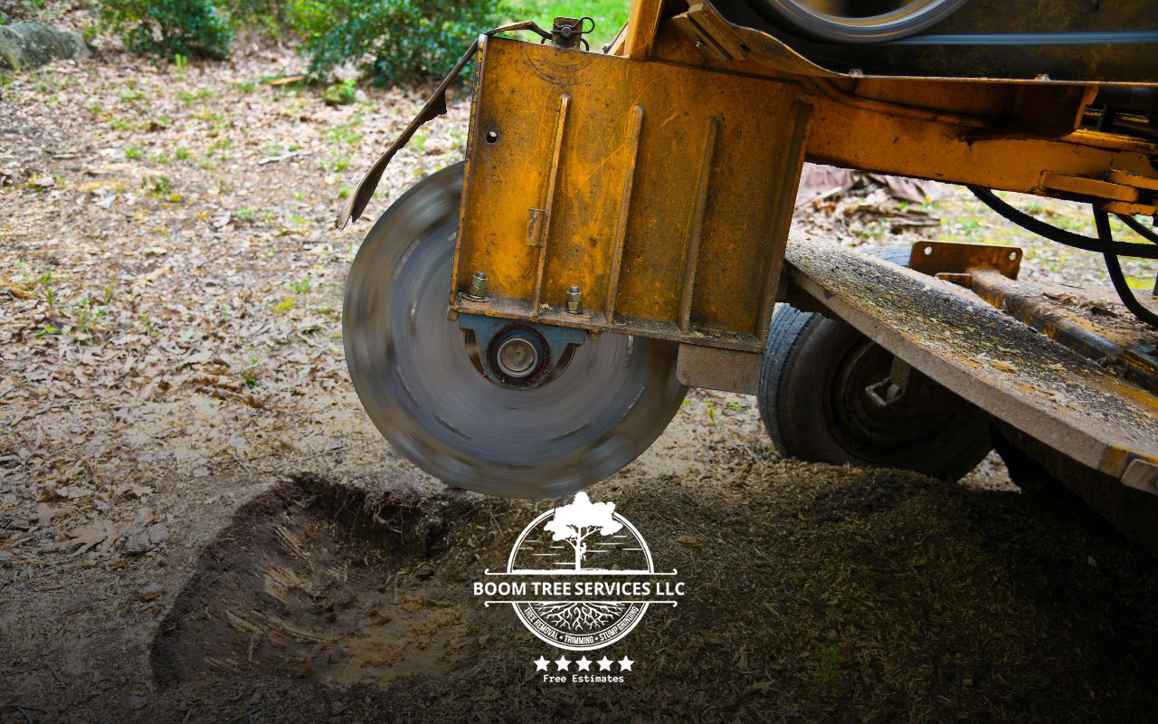 Expert stump grinding services in Huntsville to remove unwanted tree stumps.