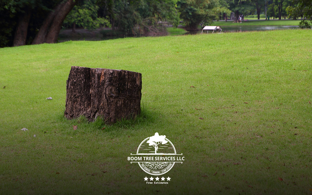 Tree experts in Athens, AL, safely removing a hazardous tree near a residential property using advanced techniques.