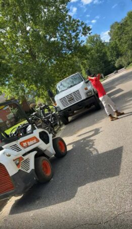 Gallery | Tree removal