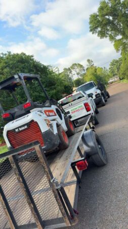 Gallery | Tree removal