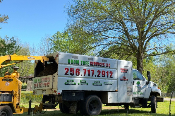 Affordable tree removal services on residential property in Huntsville