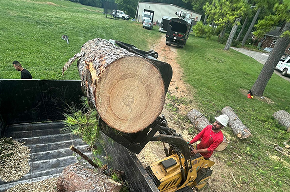 Commercial property undergoing tree removal service in Huntsville, AL