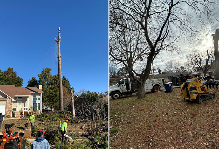 Commercial property receiving professional tree trimming in Huntsville, AL