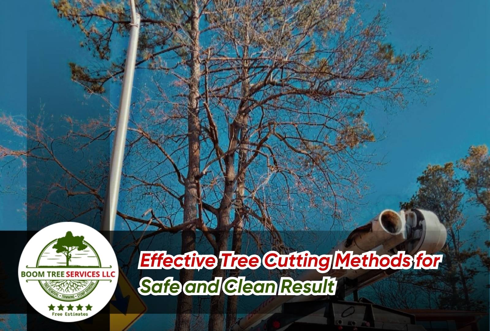 Certified arborist using a chainsaw to perform safe tree cutting methods in a residential backyard.