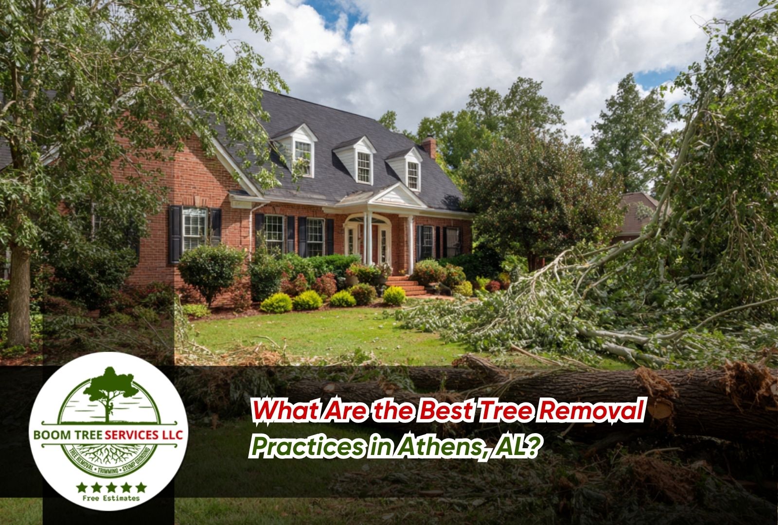 Home front yard showing Best Tree Removal Practices in Athens, AL with safely removed tree and clean lawn.