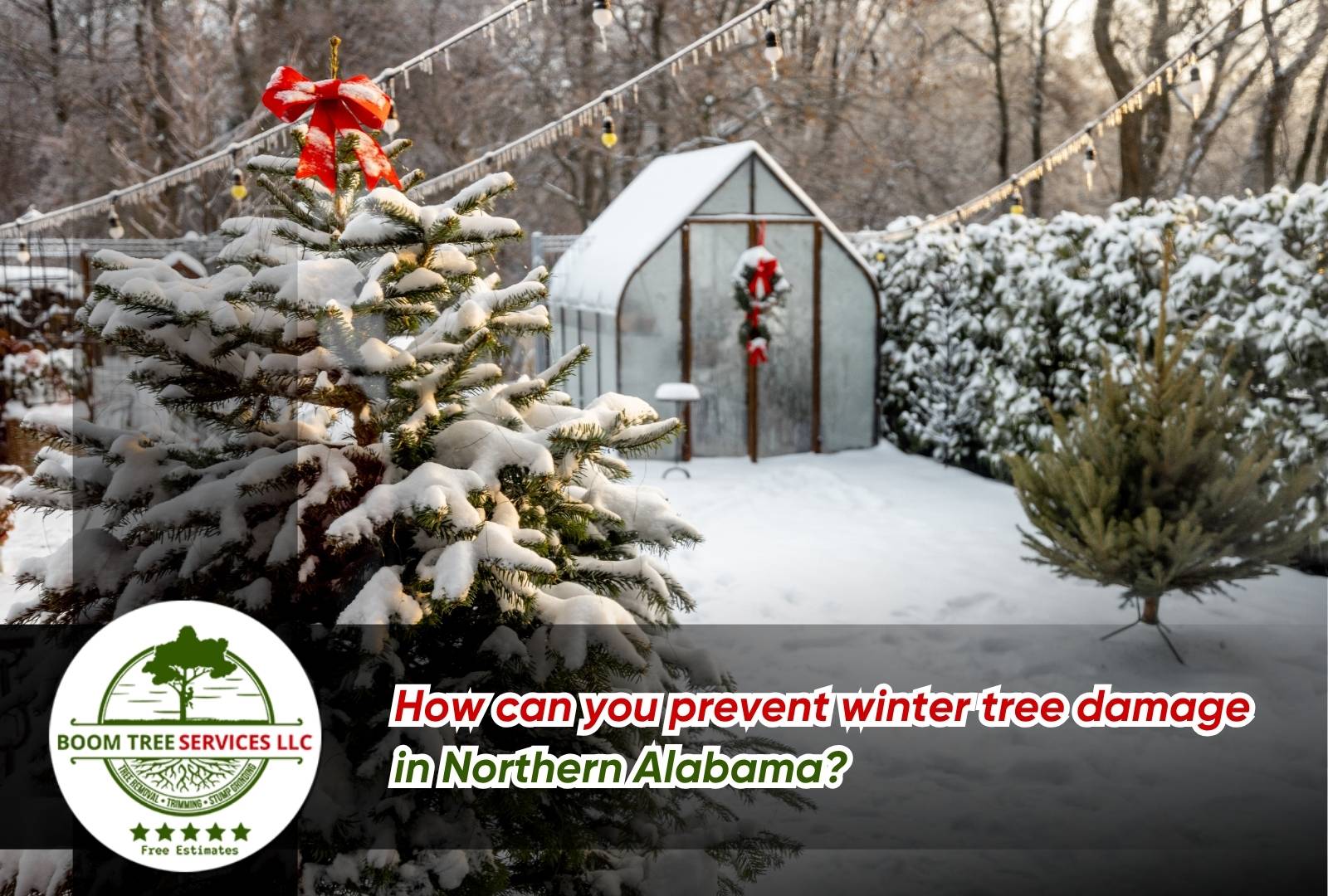 reseason inspection for Preventing Winter Tree Damage