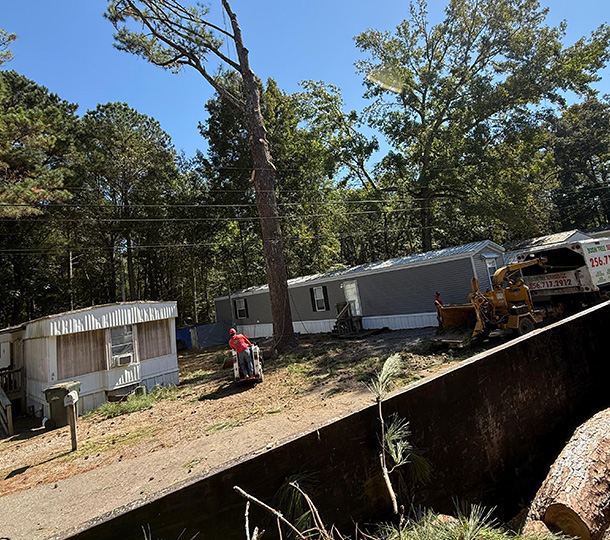 Worker operating stump grinder near mobile homes with trees and tree service truck nearby - Tree Removal in Athens, AL