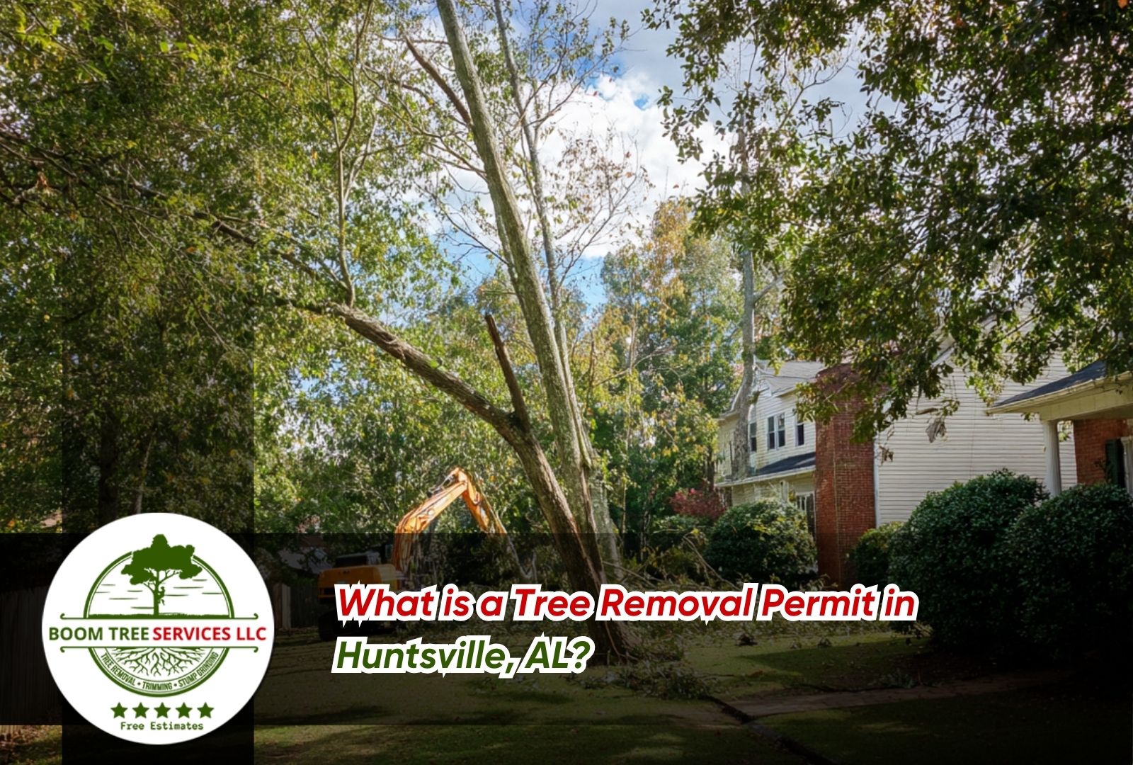 Homeowner reviewing a Tree Removal Permit in Huntsville, AL before cutting a large backyard tree