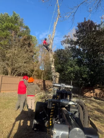 Tree Services - Tree Removal - Boom Tree Service LLC