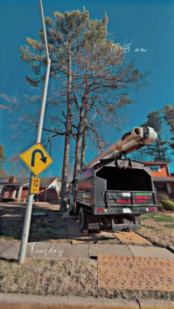 Tree Services - Tree Removal - Boom Tree Service LLC