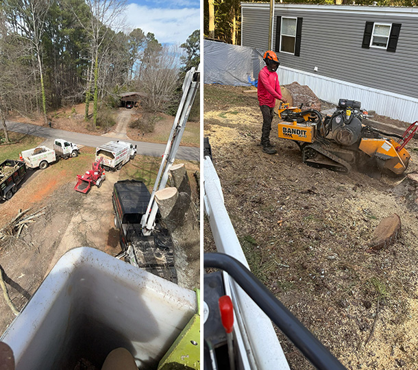 Tree stump removal with heavy equipment and worker near trucks at residential property