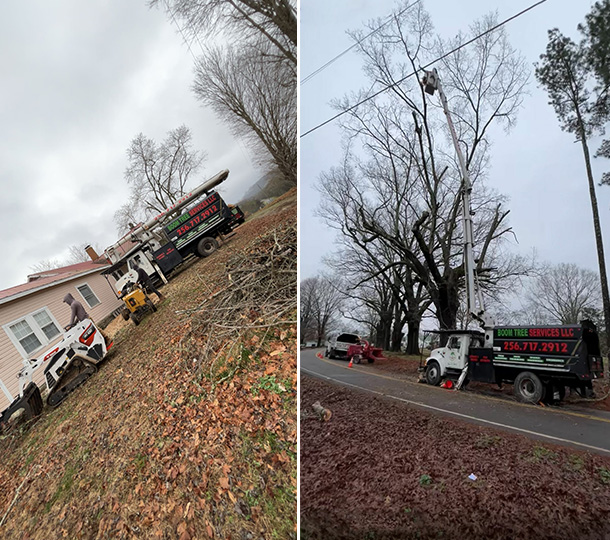 Arborist trimming tall trees using lift bucket truck with wood chipper and service truck nearb