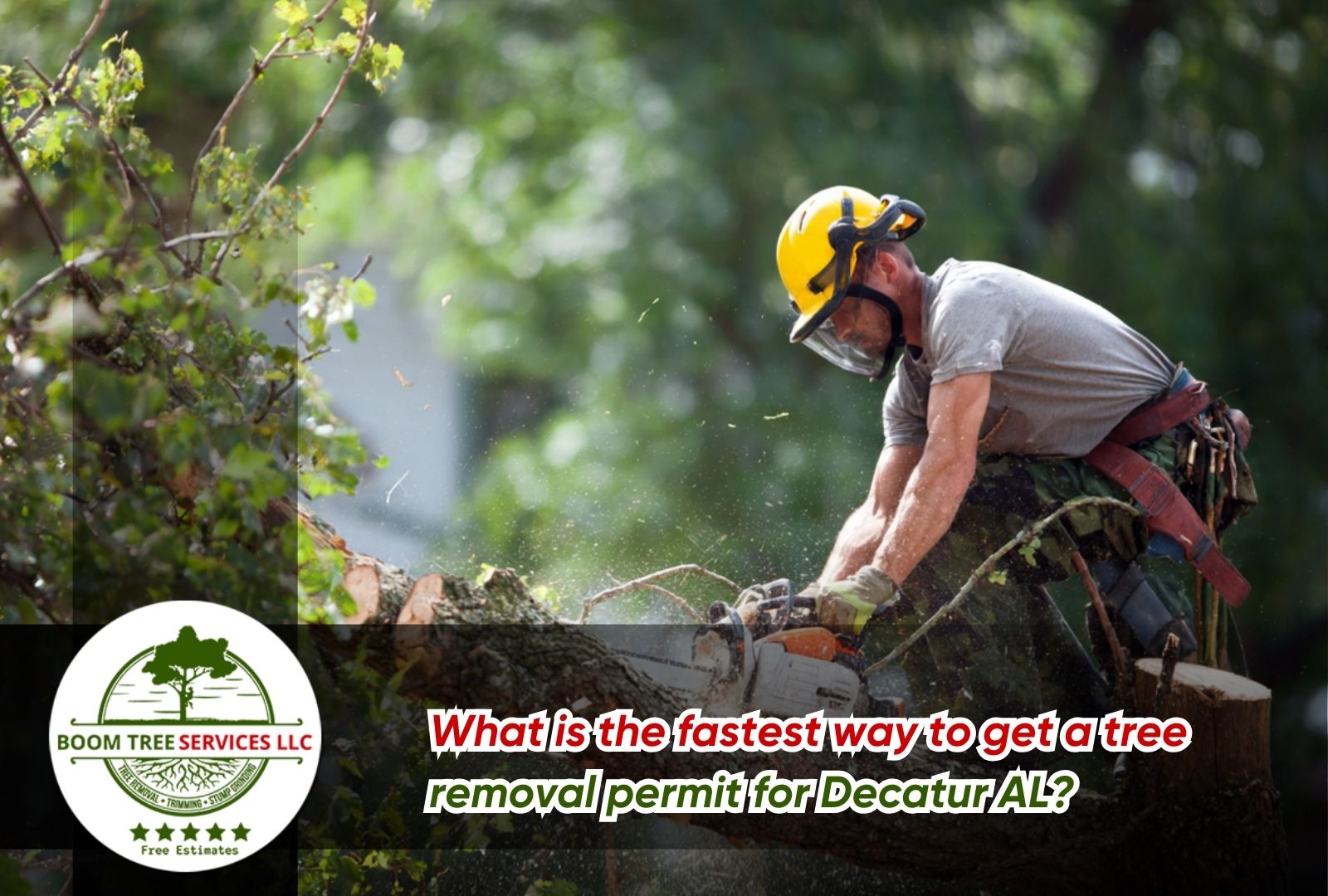 Tree removal permit for Decatur AL checklist for homeowners