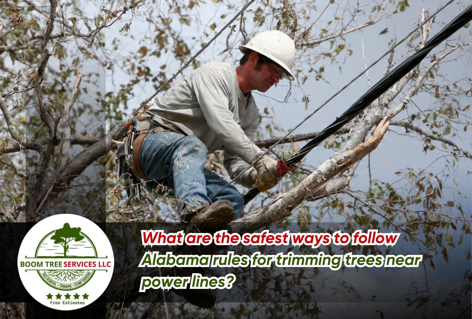 Tree trimming near power lines Alabama rules for safe clearance