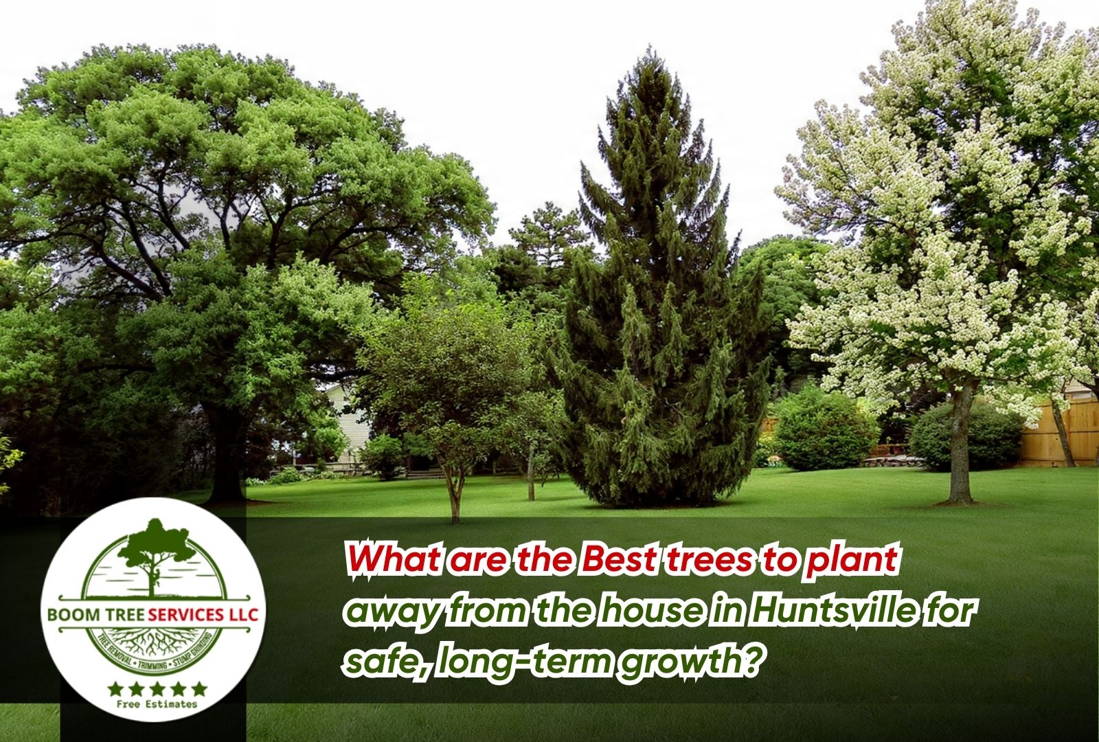 Best trees to plant away from the house in Huntsville in a spacious backyard