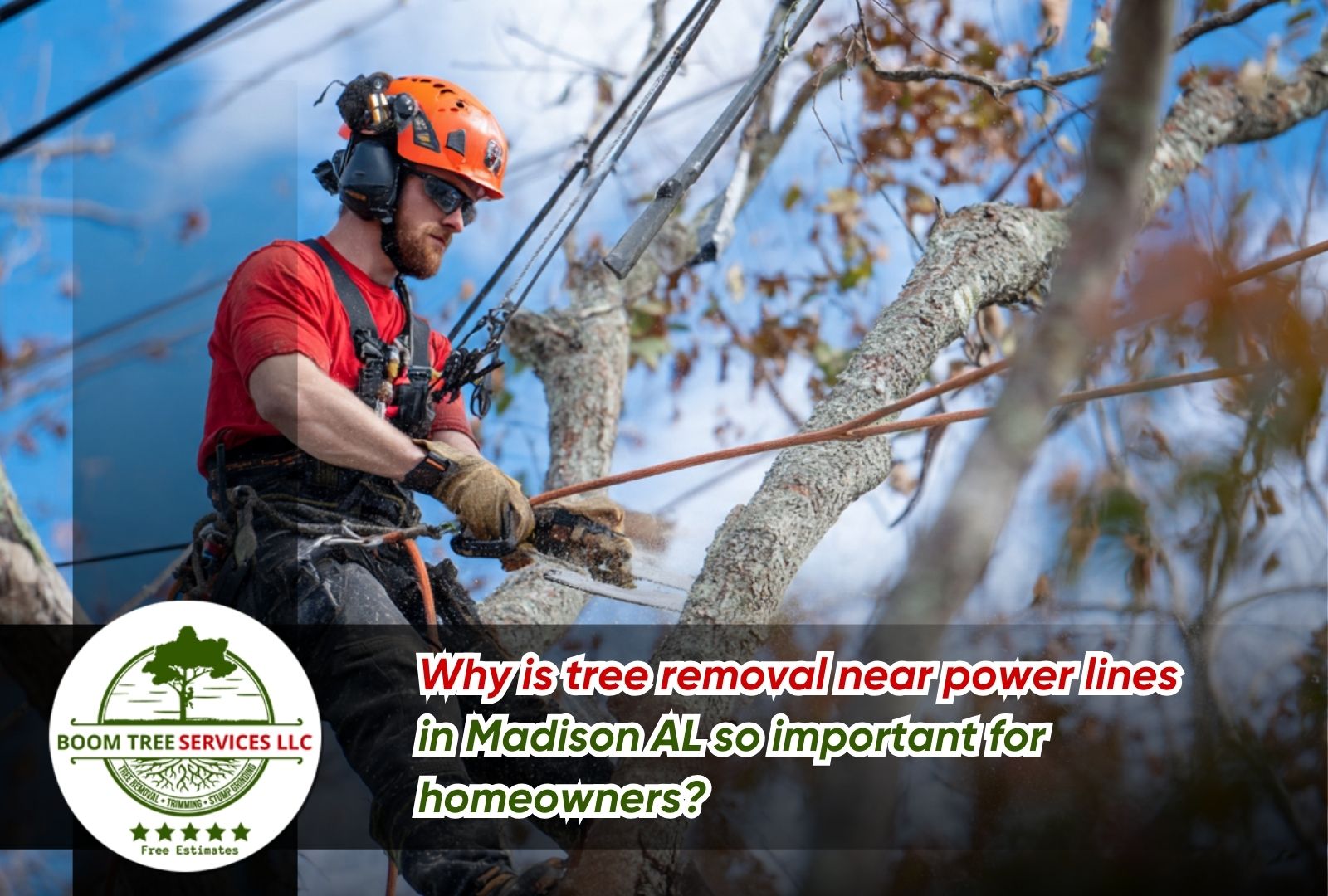 Professional crew for tree removal near power lines in Madison AL