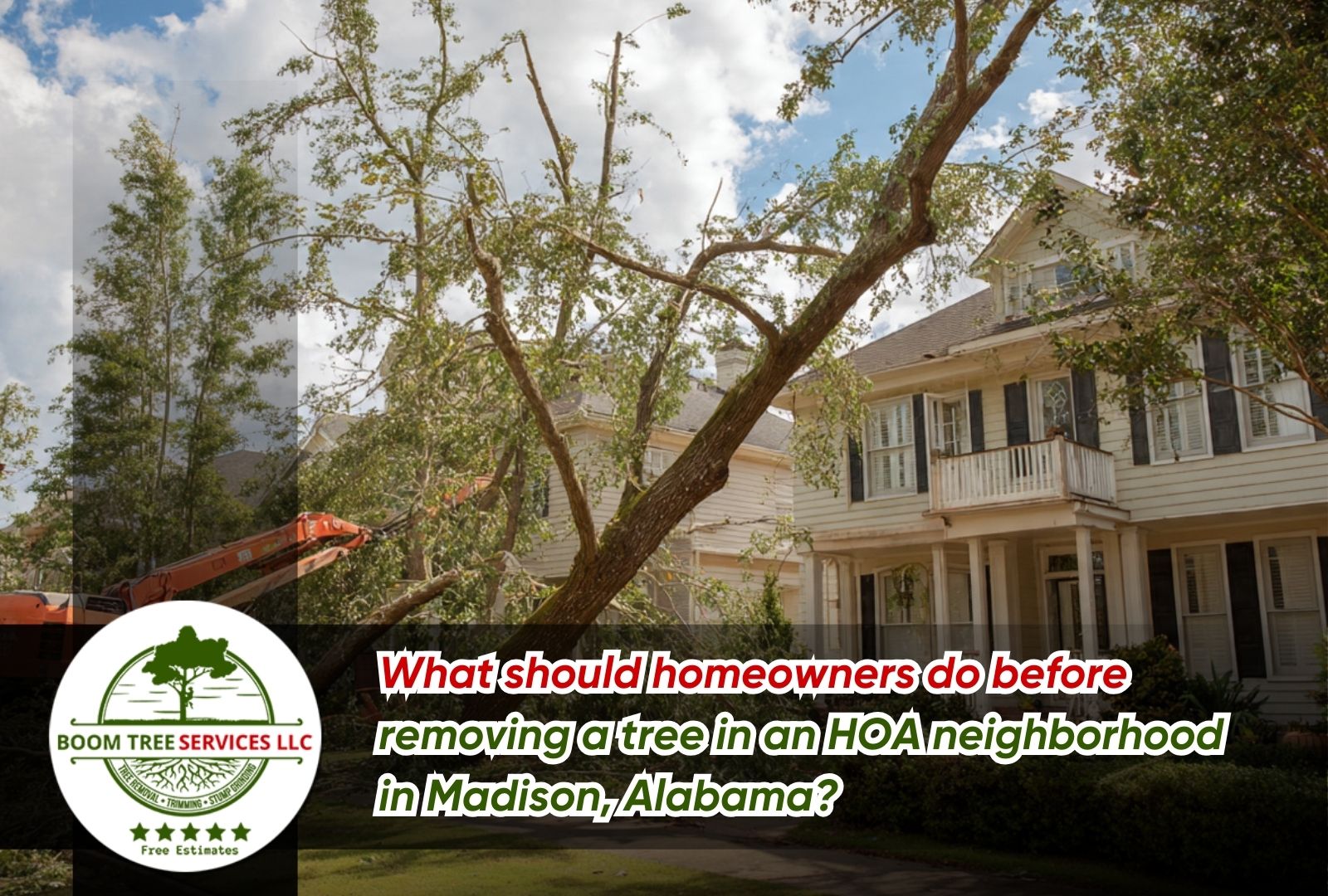 Tree removal services in Madison AL following HOA rules tree removal in Madison AL