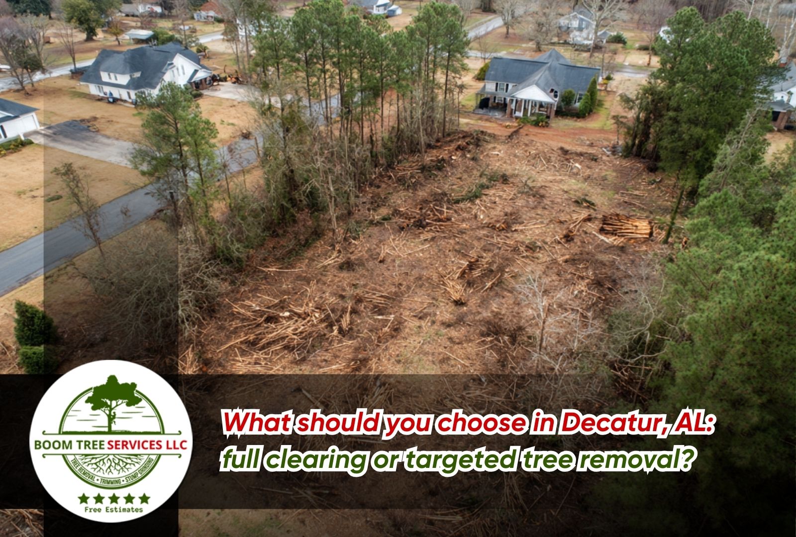 Boom Tree Services LLC site assessment for Land clearing vs selective tree removal for Decatur AL