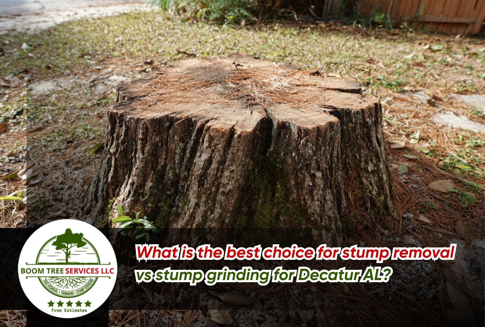 Site prep for stump removal before equipment arrives in Decatur AL