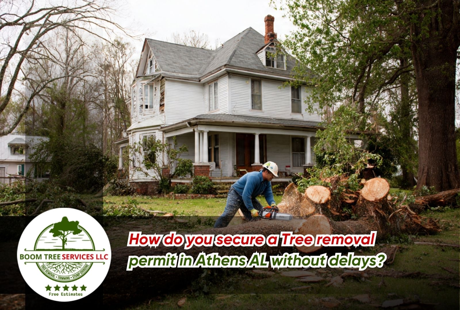Licensed tree removal for Athens AL supporting safe, compliant removals