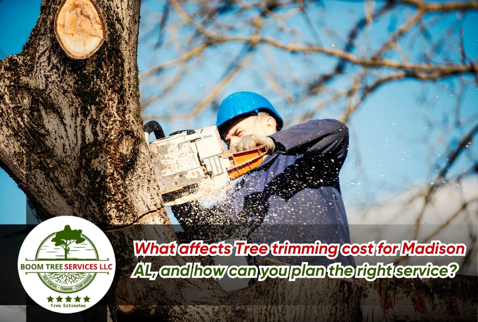 Best time for trimming in Madison to protect tree health