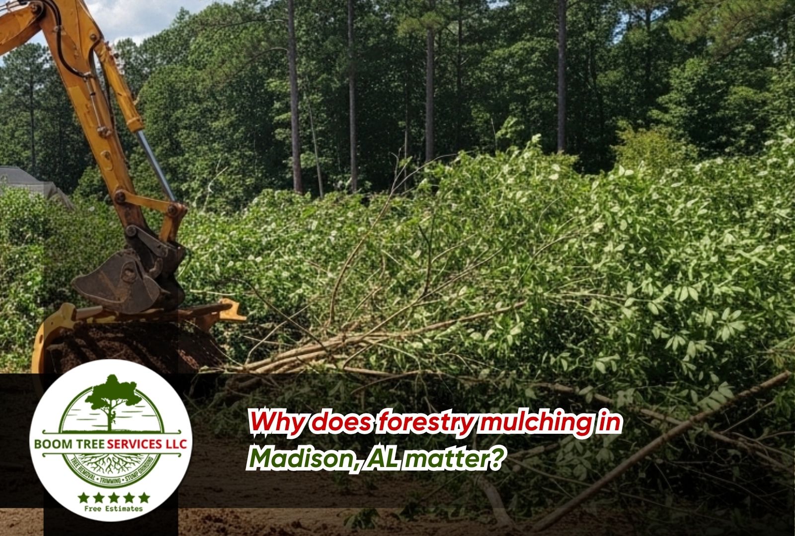 forestry mulching in Madison, AL clearing thick brush on a residential lot