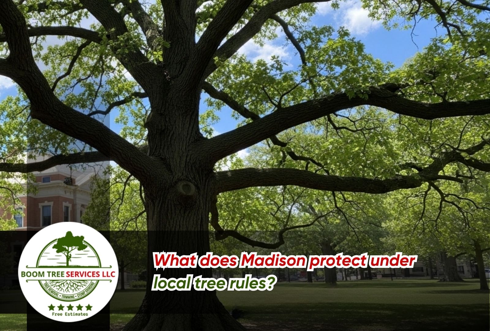 protected tree ordinance in Madison, AL guide for homeowners