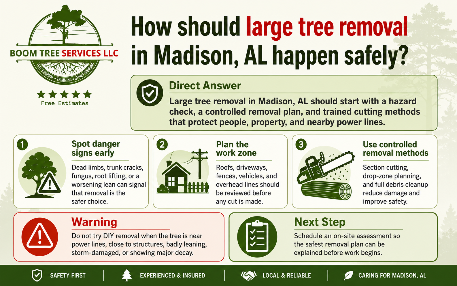 Direct answer infographic explaining how large tree removal in Madison, AL should start with hazard checks, controlled cutting, warning signs, and safe next steps.