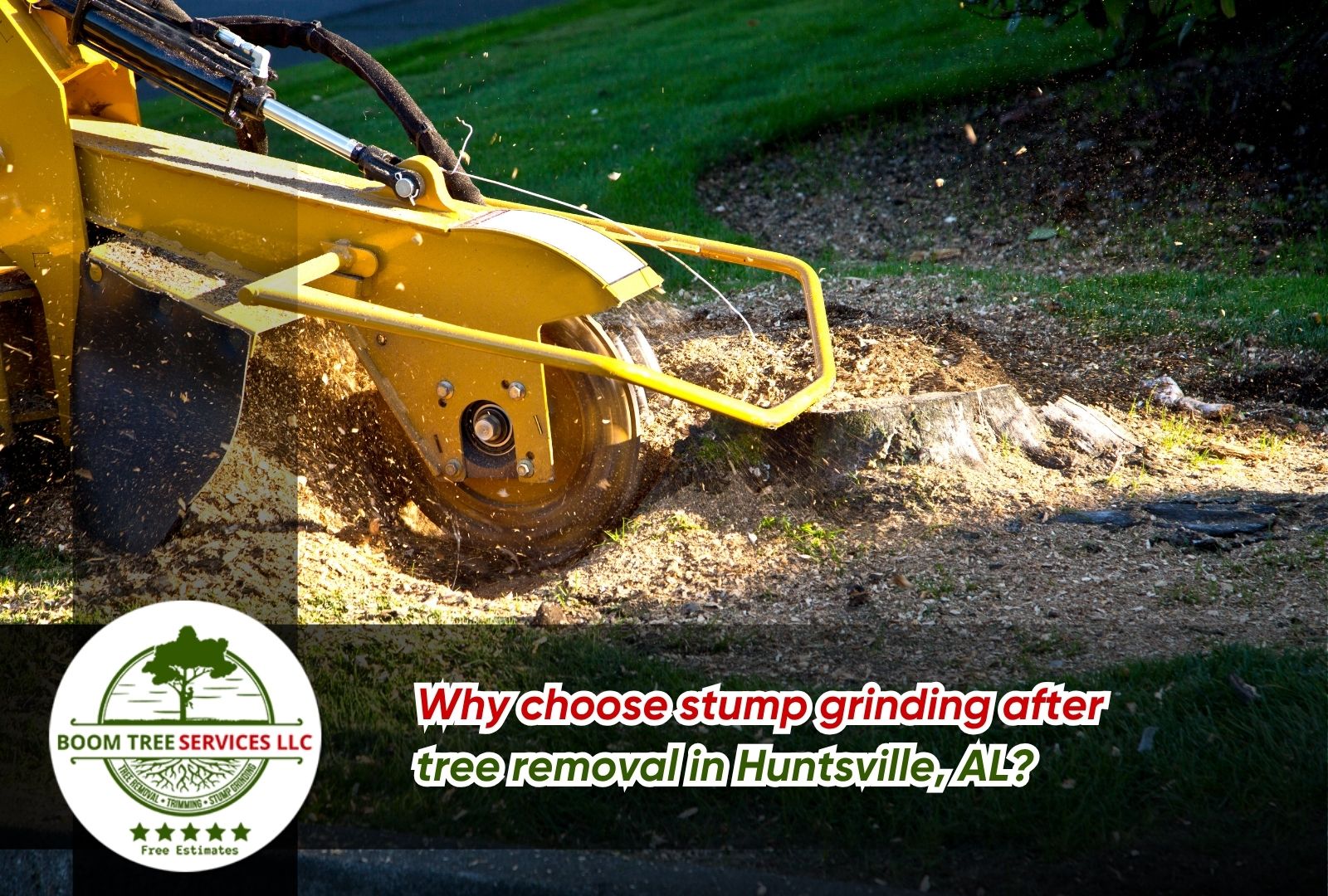 professional stump grinding after tree removal in Huntsville, AL