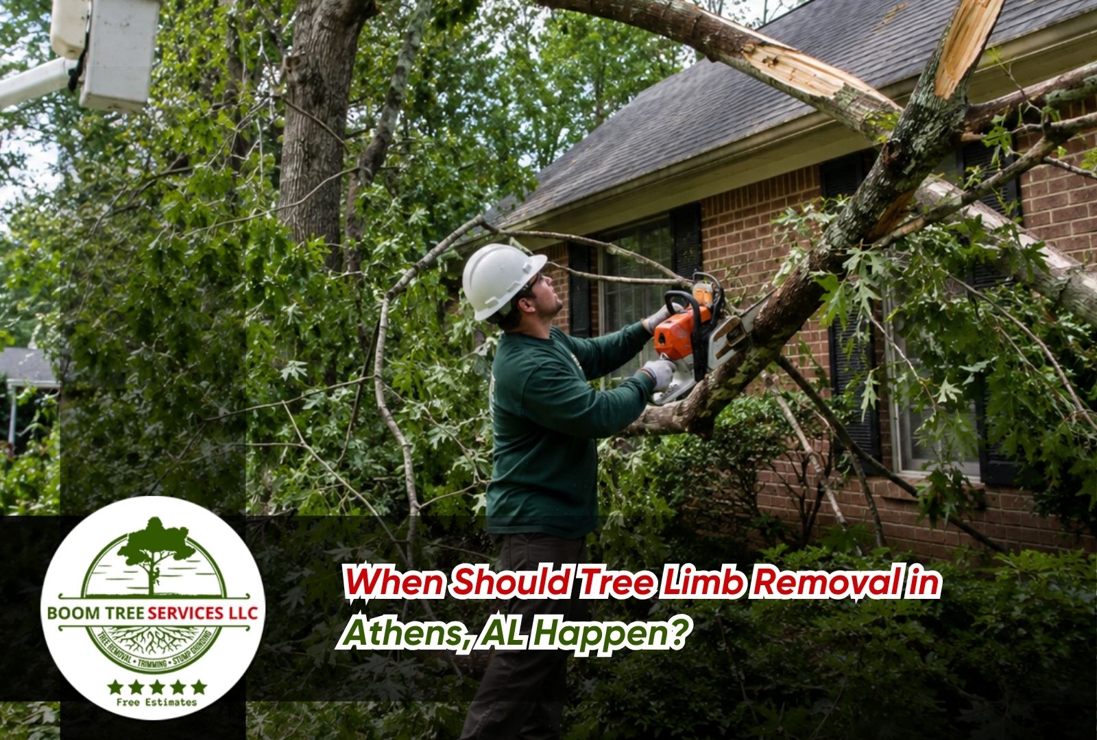 tree limb removal in Athens, AL after storm damage near a home