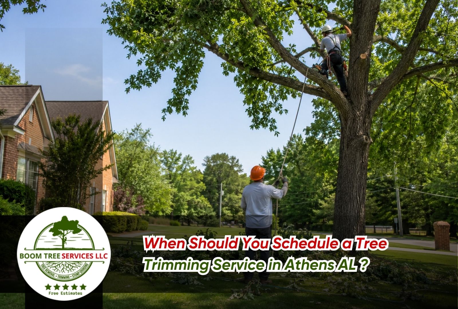 Tree trimming service Athens AL summer for safer yard care