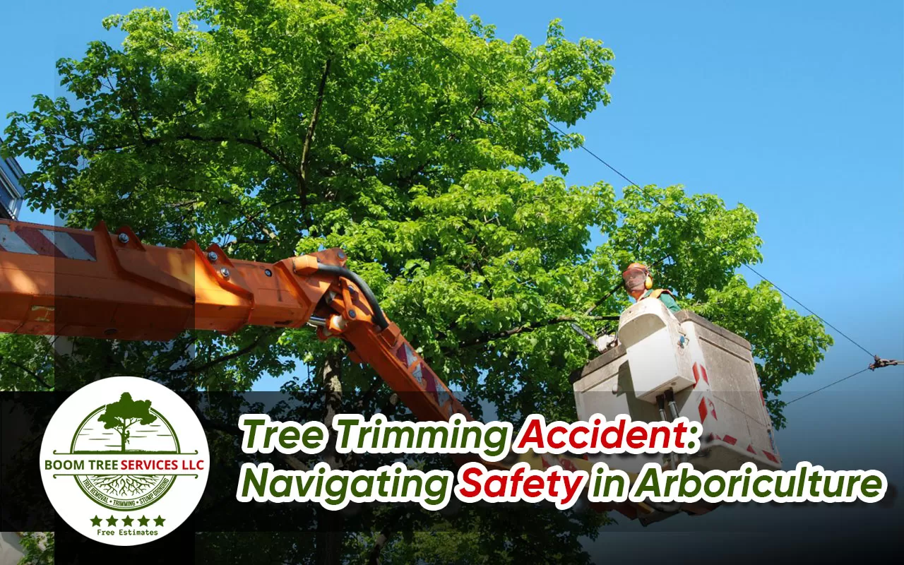 Prevent Tree Trimming Accident