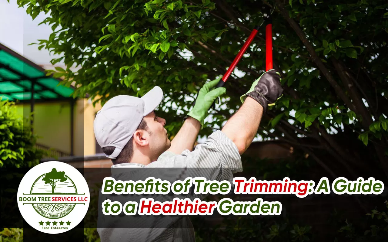 Benefits of tree trimming.