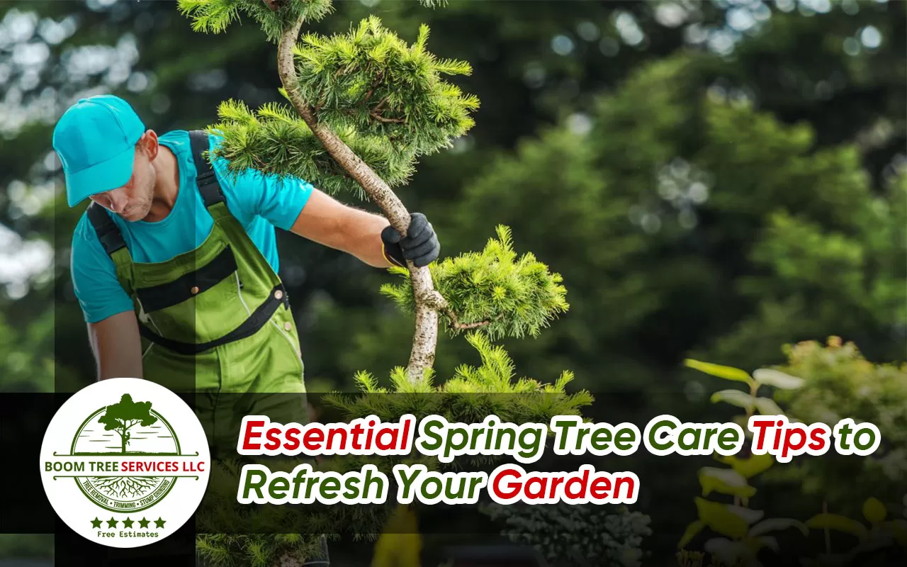 Spring tree care