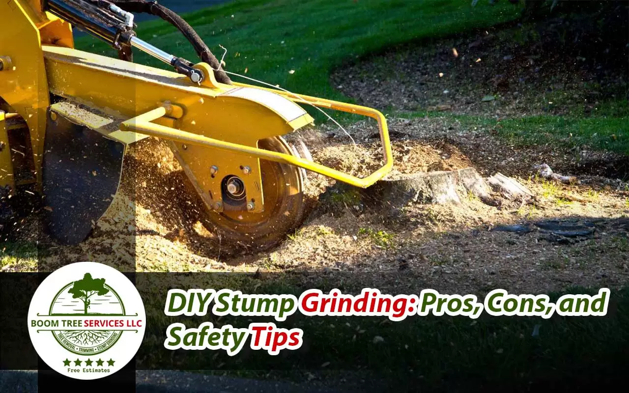 DIY Stump Grinding: Pros, Cons, and Safety Tips