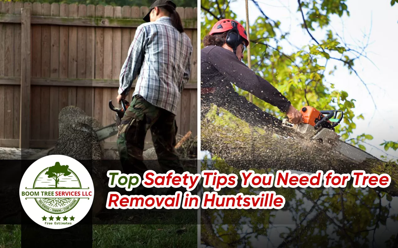 DIY vs. professional tree removal in Huntsville.